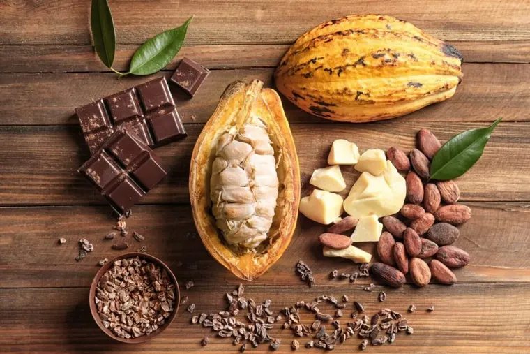 Cacau aberto e chocolate artesanal — experiência tree-to-bar nas fazendas de cacau próximas a Itacaré