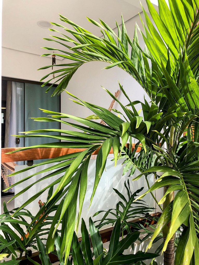 Studio Pontal: acesso às praias e ao centrinho
