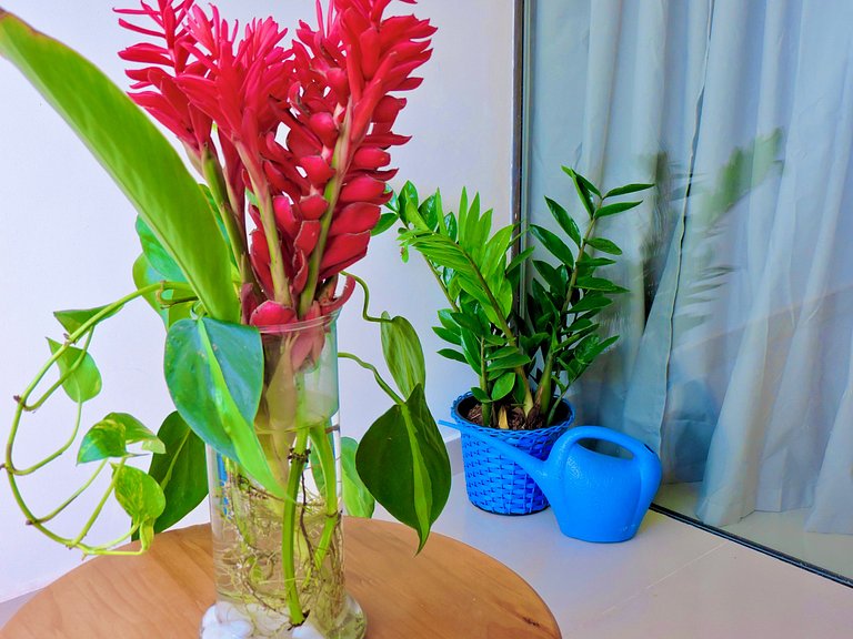 Romantic Retreat "Laurel Resende Studio"