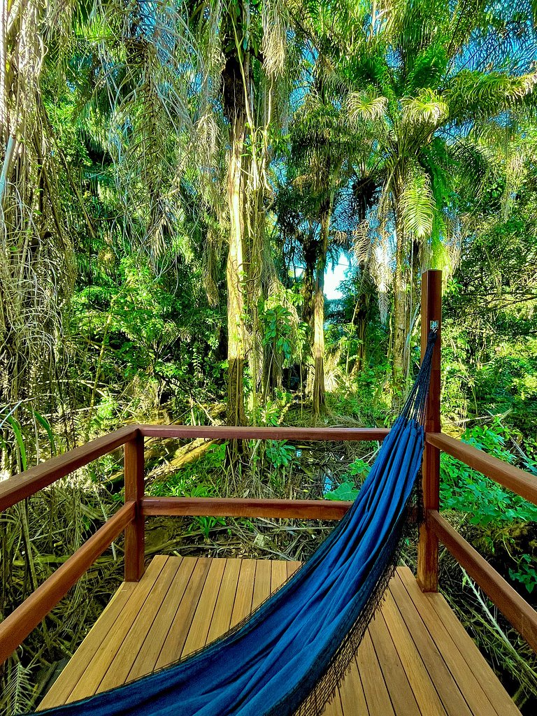 Bosque da Concha: Seu Refúgio Moderno na Natureza