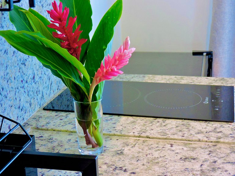 Brisa Itacaré: Where Luxury Meets the Bahian Soul